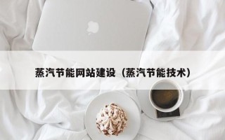 海南蒸汽节能网站建设（蒸汽节能技术）
