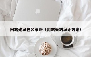 海南网站建设包装策略（网站策划设计方案）